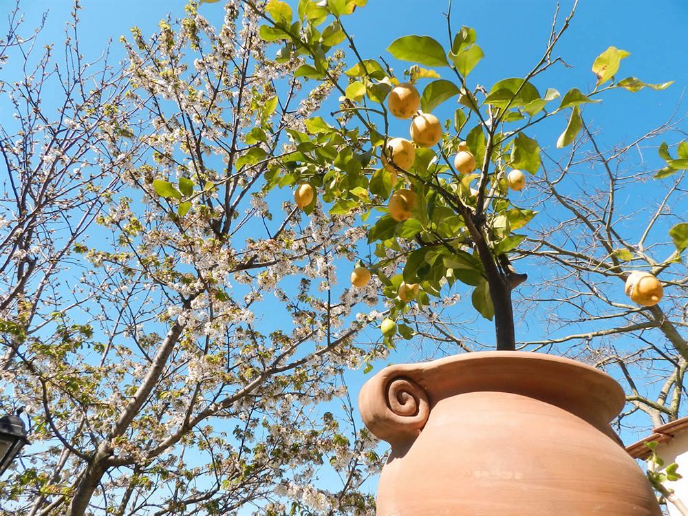 Bacio Del Sole B&B Positano Eksteriør billede
